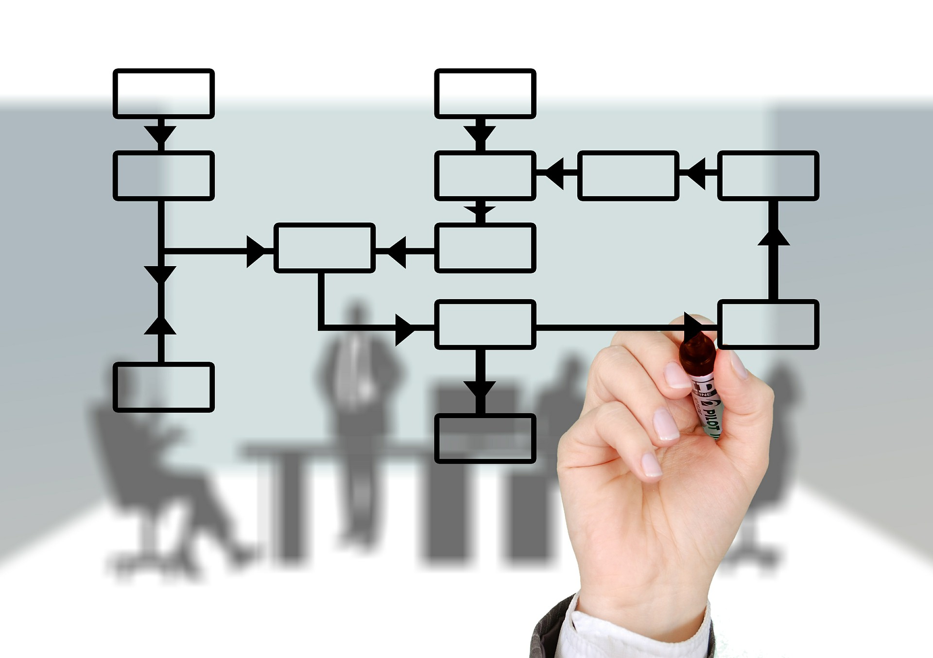 Organizzazione